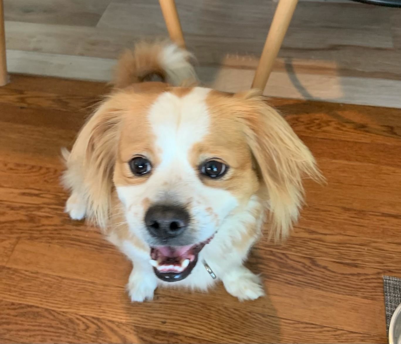 Vera Doula profile photo