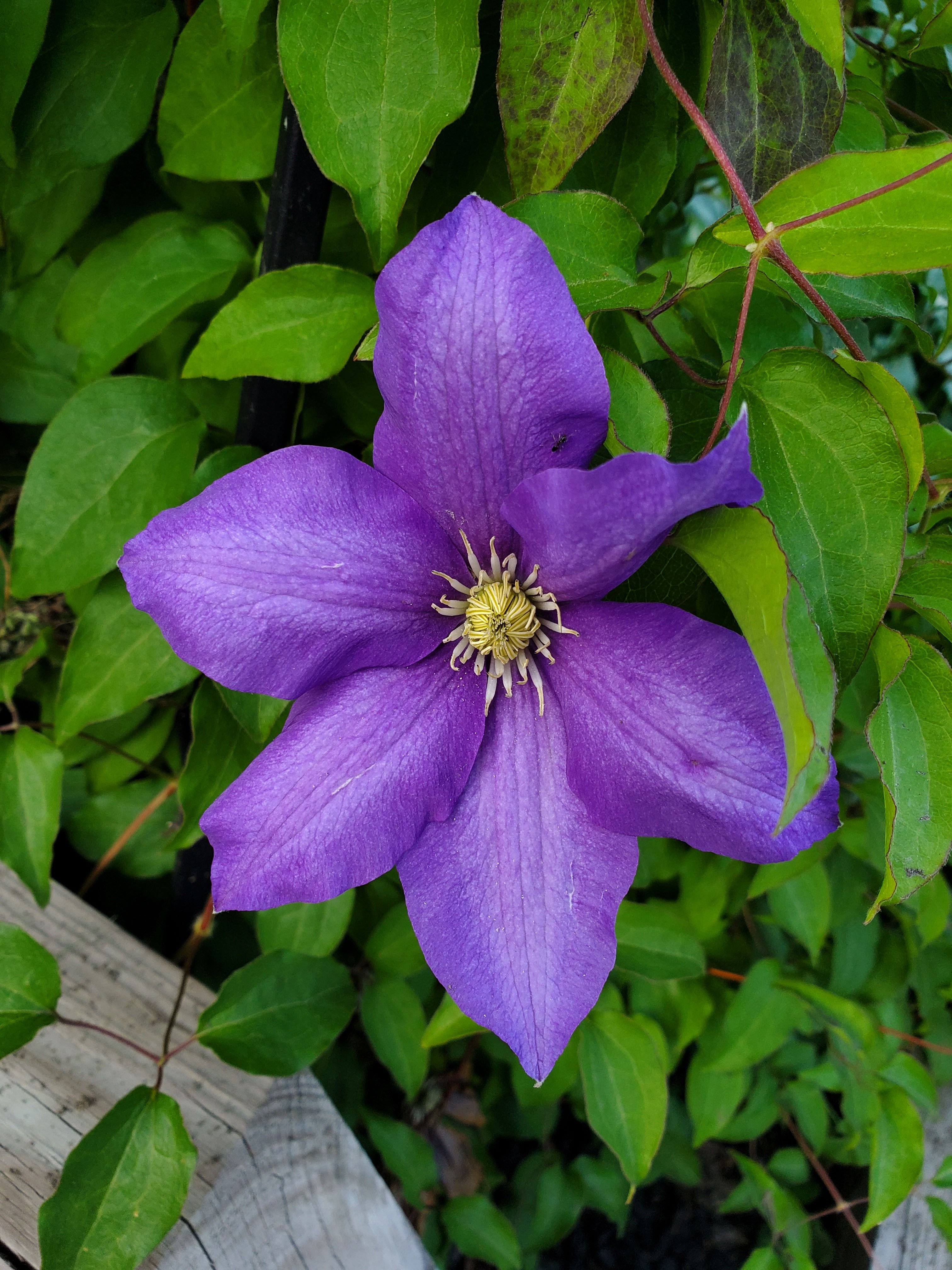 Emily Kearns profile photo