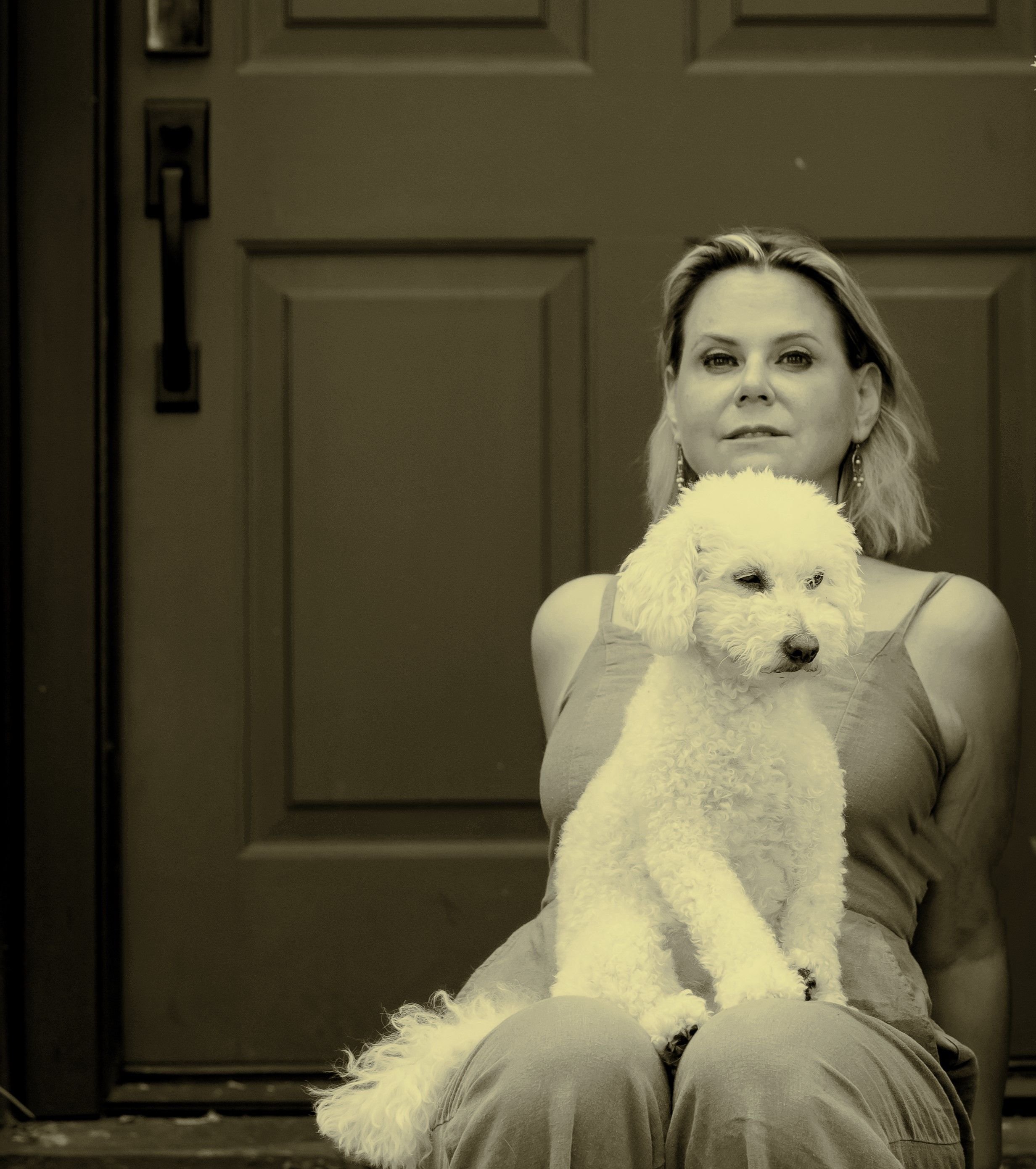 The Mourning Dove profile photo